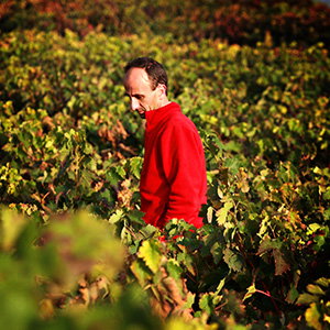 Bodegas y Viñedos Leza García