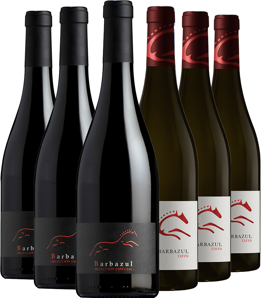 Huerta de Albalá Rotwein Kennenlern-Paket Cádiz VT