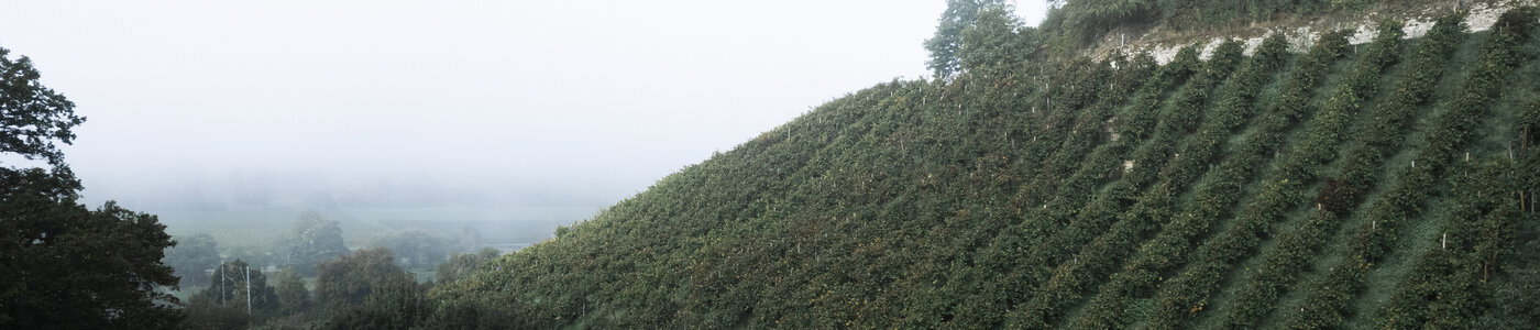 Carlsfelsen