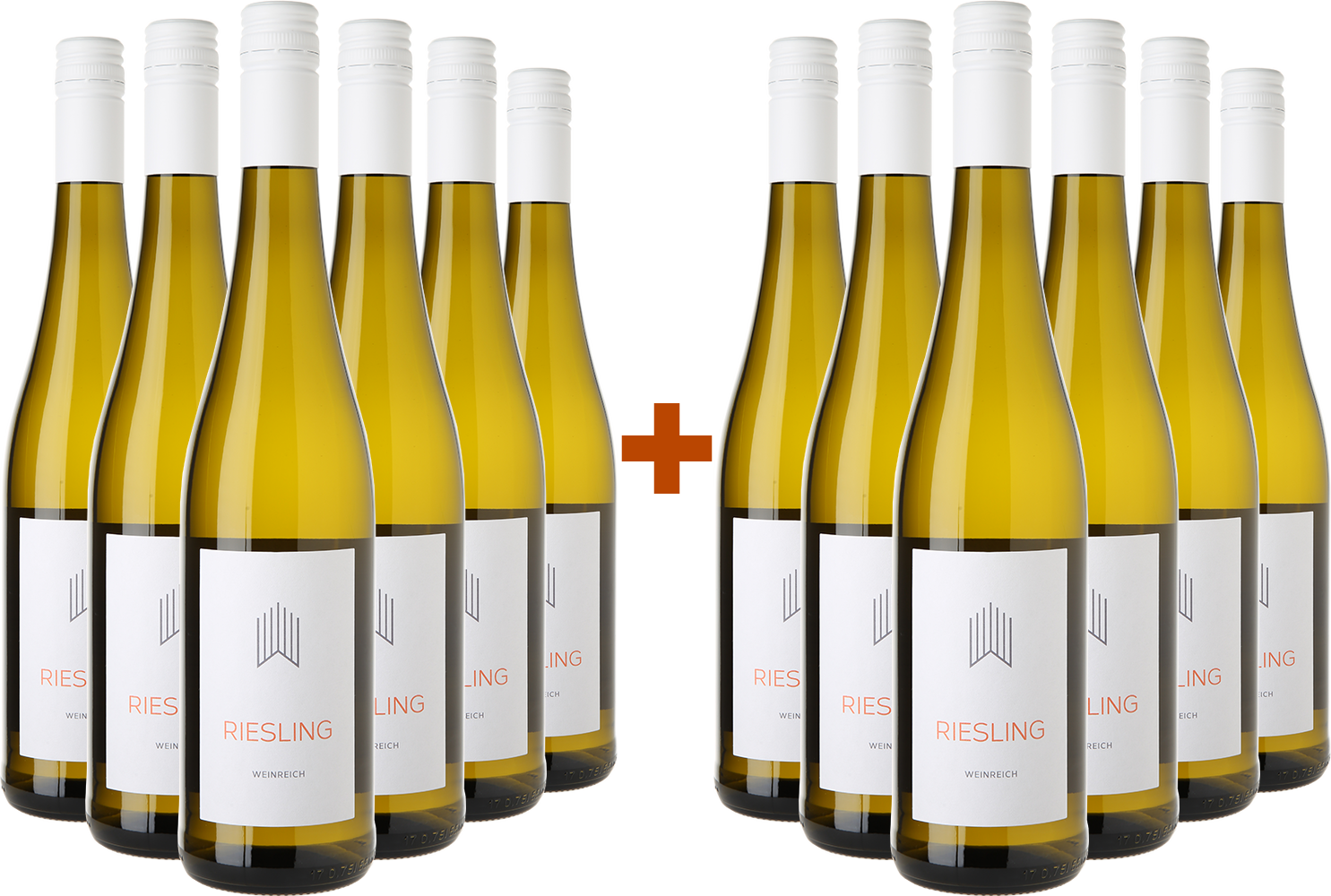 6+6 Paket Riesling BIO
