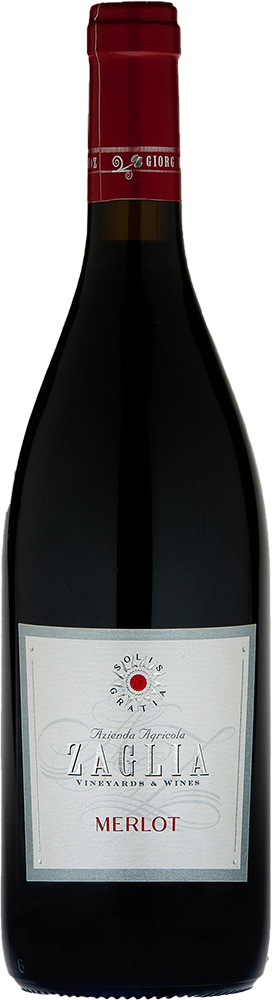 2025 Merlot Friuli DOC