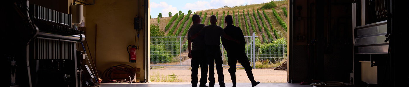 Weingut Bungert-Mauer