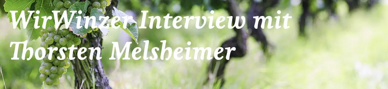 Interview mit dem Bio-Winzer Thorsten Melsheimer Banner