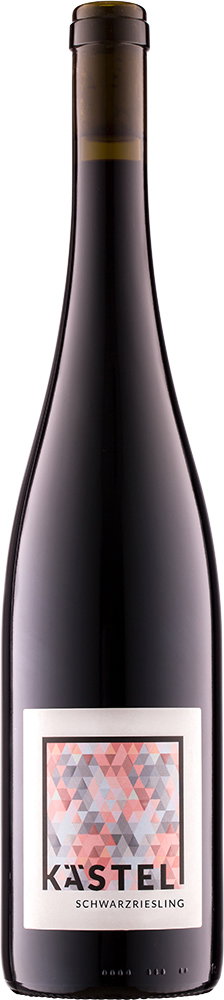2024 Schwarzriesling