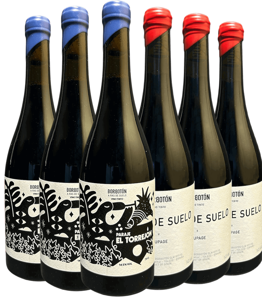 Kennenlernpaket Bodega Borbotón