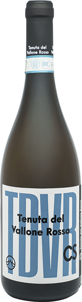 2024 TDVR CS Carricante