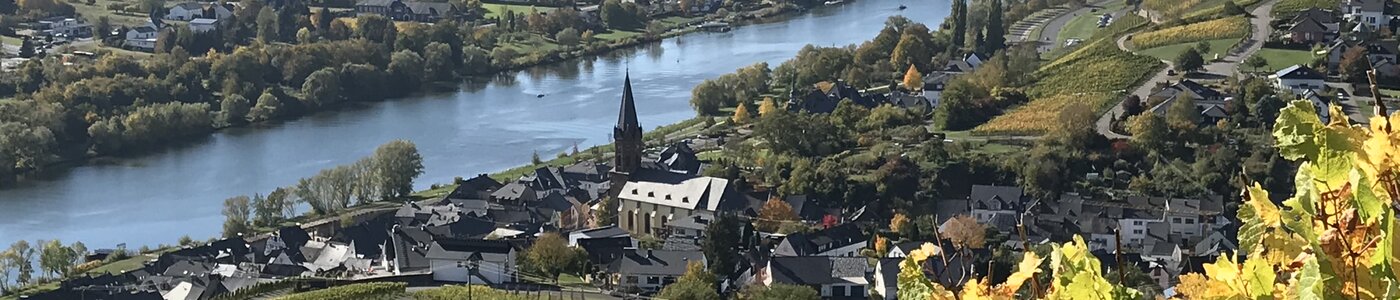 Gindorf