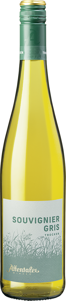 2025 Souvignier Gris