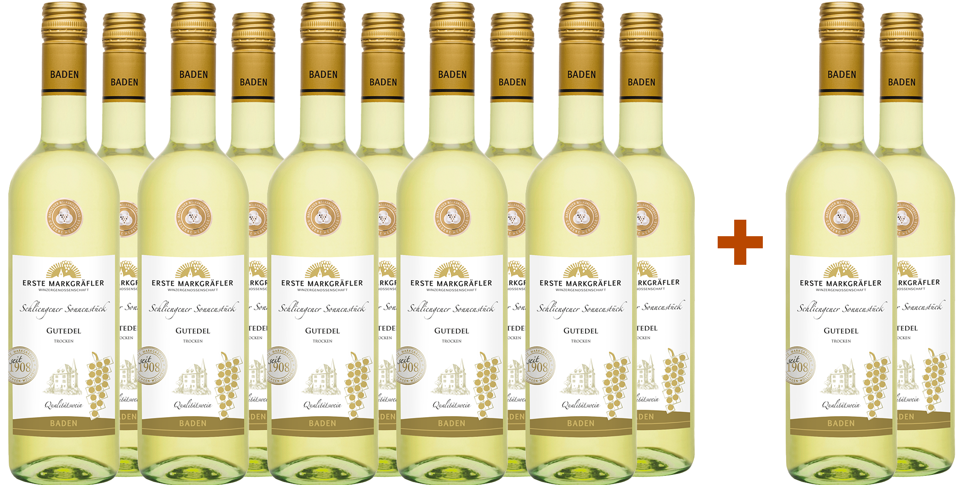 10+2 Paket Schliengener Sonnenstück Gutedel