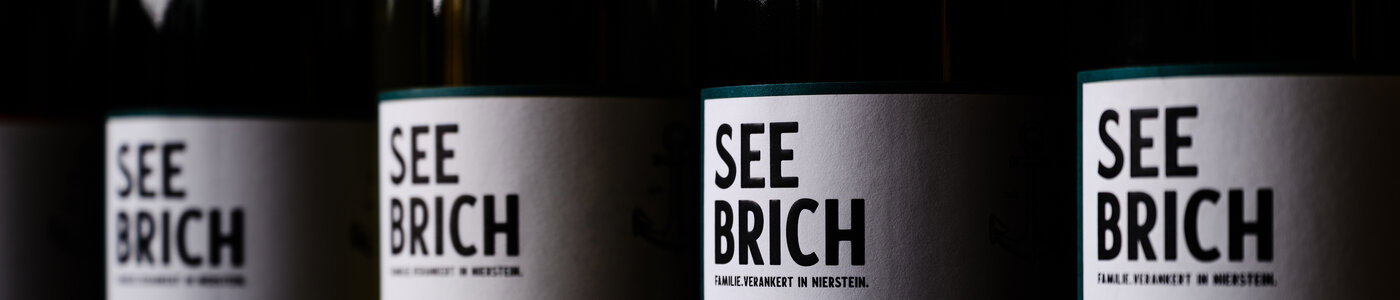 Seebrich