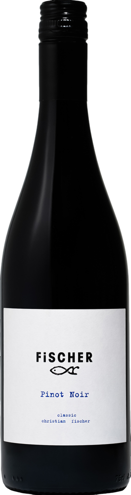 2021 Pinot Noir Classic BIO reflection