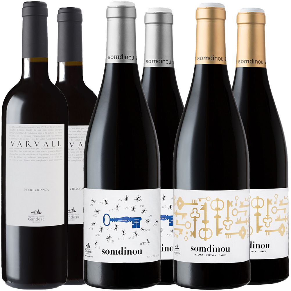 Cooperativa de Gandesa Rotwein Kennenlern-Paket BIO