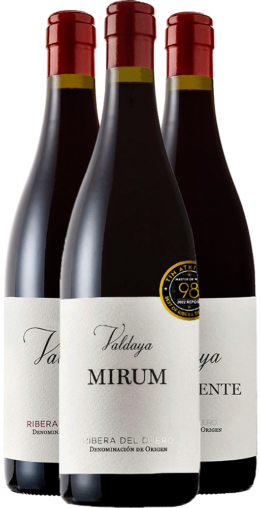 Kennenlernpaket Valdaya Ribera del Duero DO