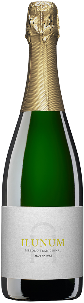 2022 Ilunum Espumoso Castilla VT