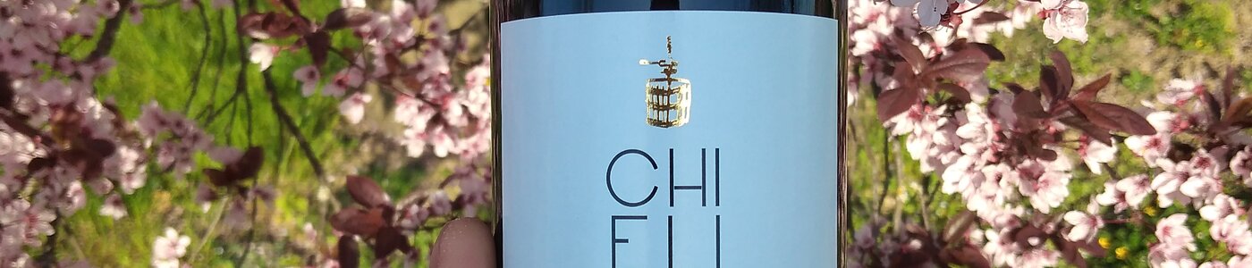 Azienda Vitivinicola Chielisò