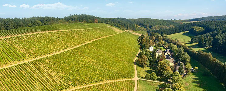 Karthäuserhof