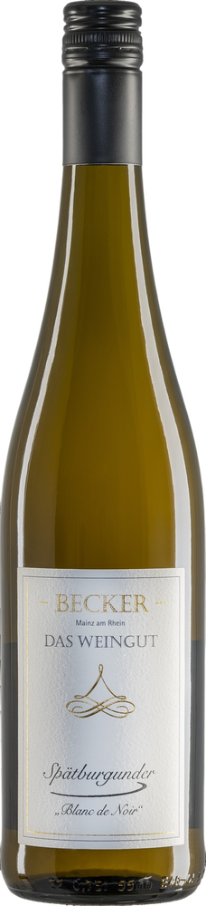 2025 Spätburgunder "Blanc de Noir" Weissherbst