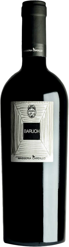2023 Baruch Matera DOC reflection
