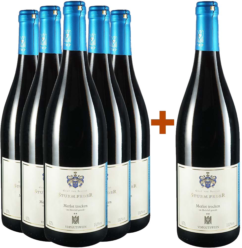 5+1 Paket Schozach Merlot ** trocken