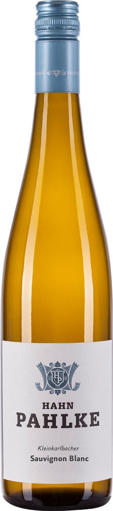 2024 Battenberger Sauvignon Blanc BIO reflection