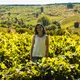 Estévez Bodegas y Viñedos