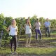 Weingut Kissel