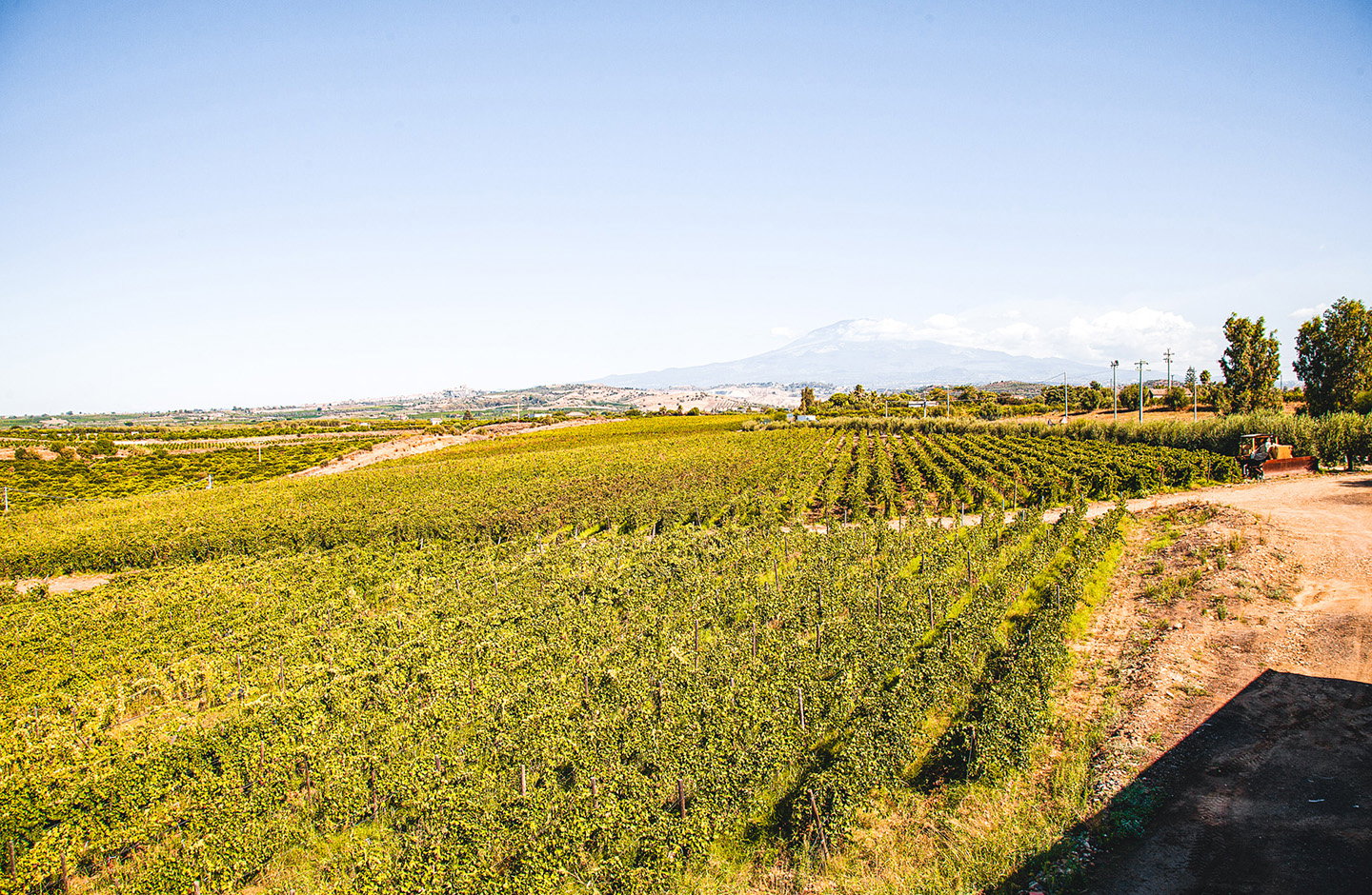 Tenuta Incarrozza