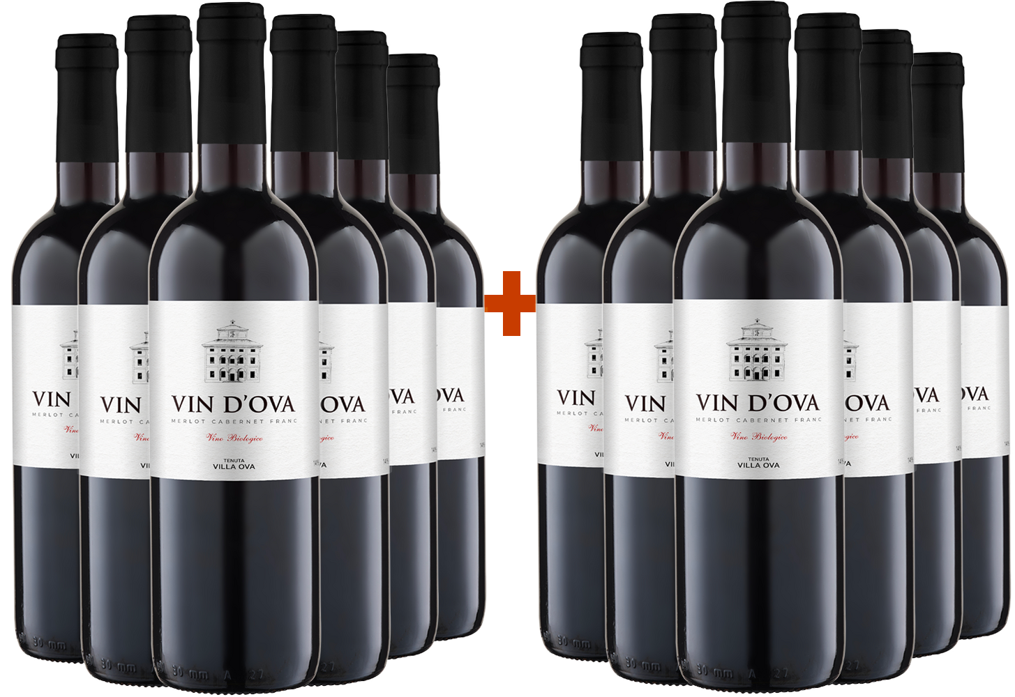 6+6 Paket Vin d'Ova