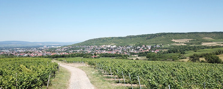 Dengler St. Marienhof