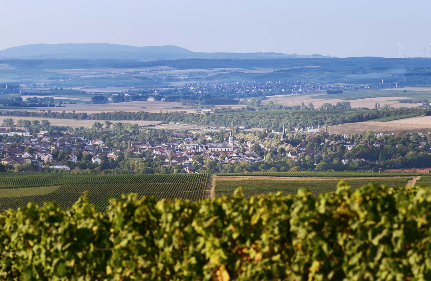 Baron Veltheim