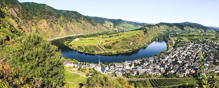 Weingut Borchert