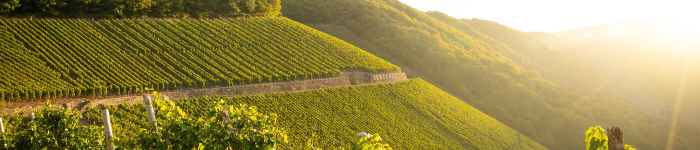 Würtzberg