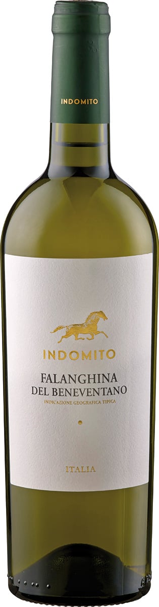 2025 Falanghina del Beneventano 'Indomito' IGT