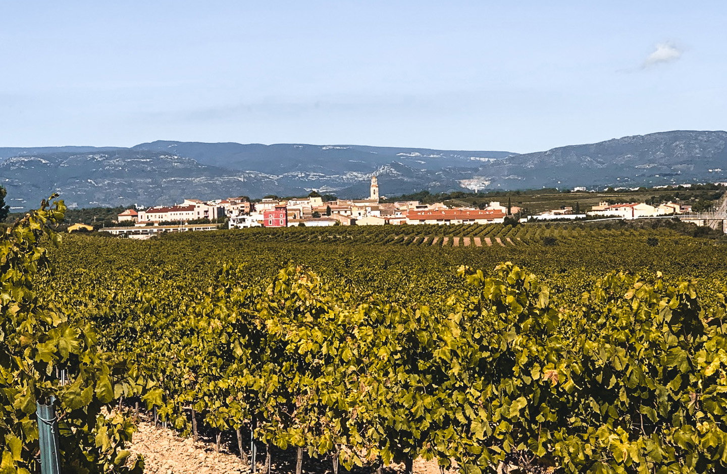 Vinicola de Nulles