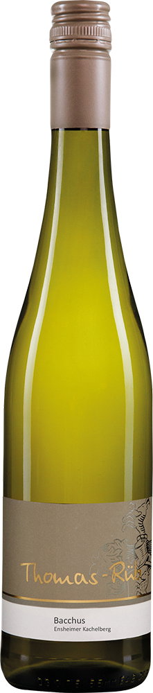 2025 Rheinhessen Bacchus -lieblich-