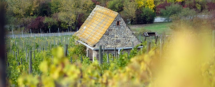 Lützkendorf