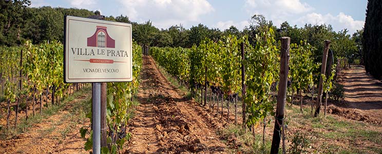 Villa le Prata