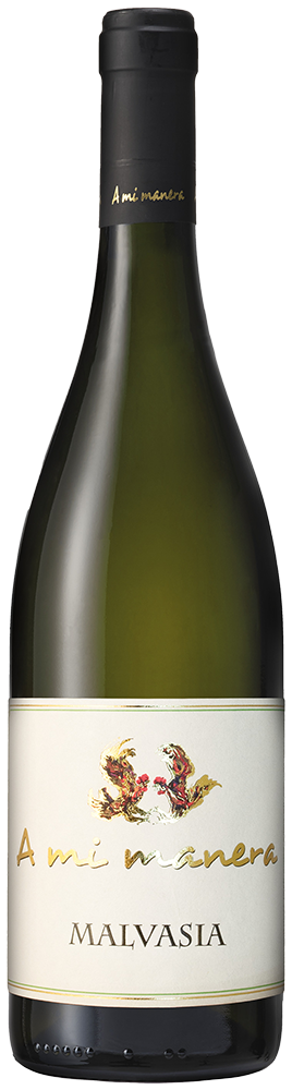 Malvasia Veneto IGP