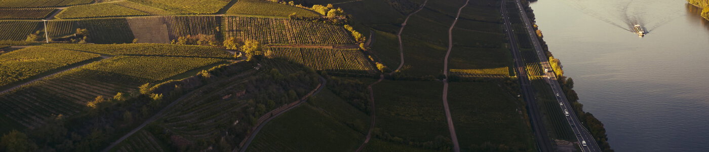 Kühling-Gillot