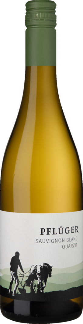 2025 Pflüger Sauvignon Blanc vom Quarzit BIO