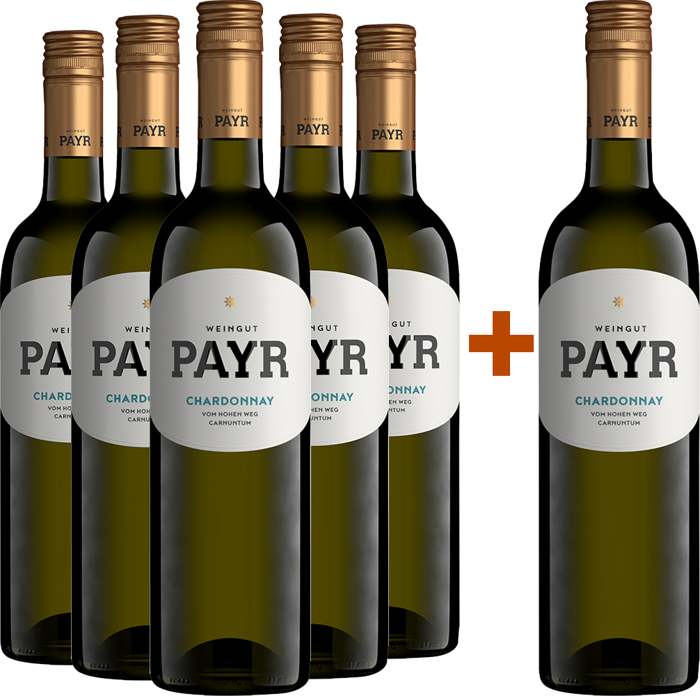 5+1 Chardonnay vom Lehm Carnuntum DAC ÖTW Gebietswein BIO BIO