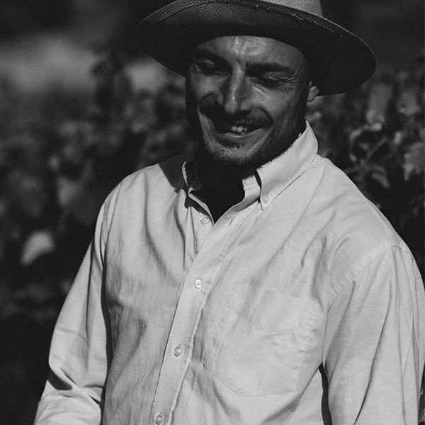 Guglielmo Zito