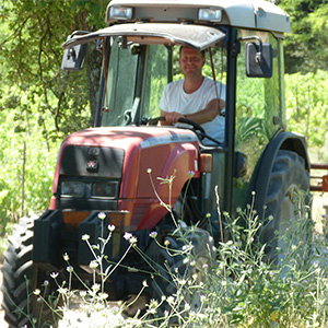 David Theunis