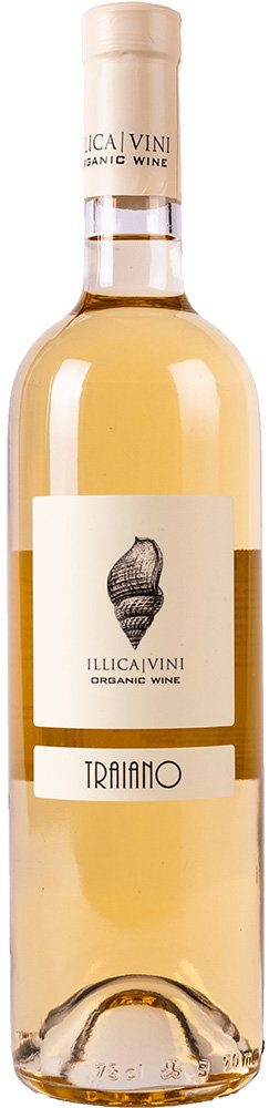 2021 Traiano BIO