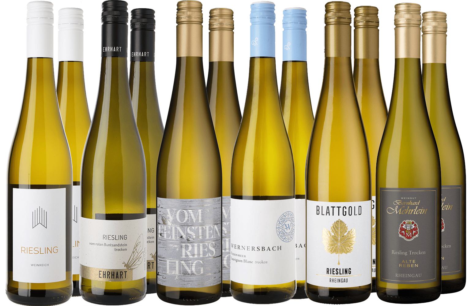 Großes Riesling Entdecker-Paket