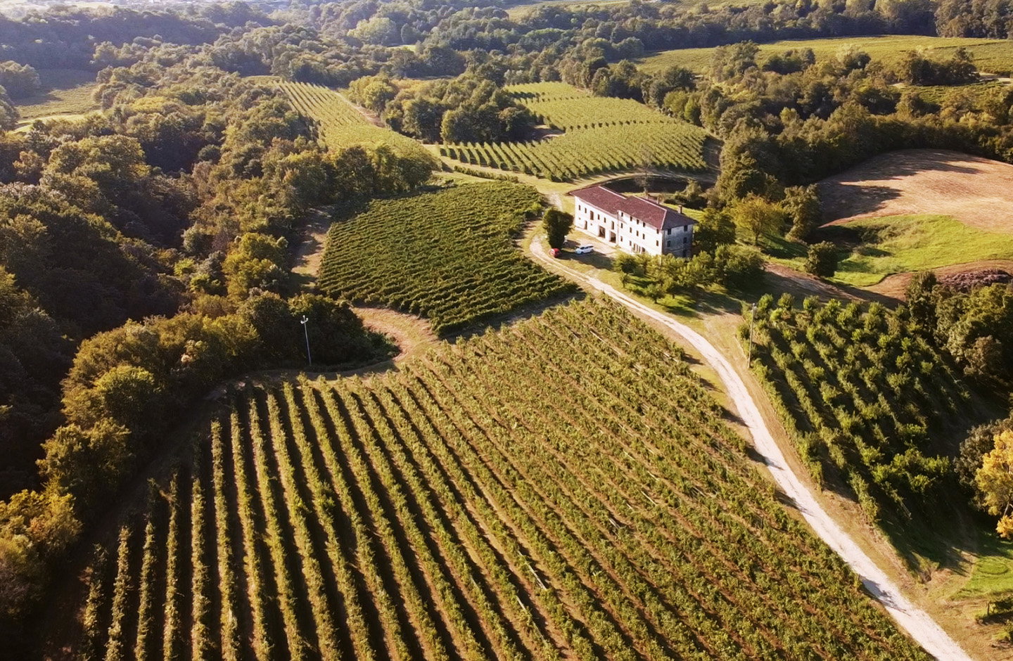 Terre del Cima