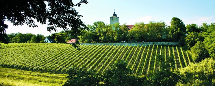 Graf von Schönborn Schloss Hallburg
