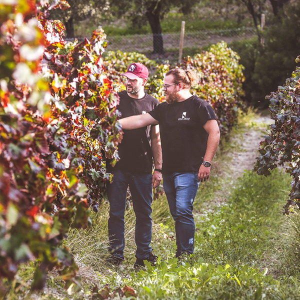 Matteo & Francesco Dell'Aera