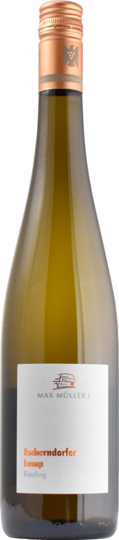 2023 Escherndorfer Lump Riesling Erste Lage