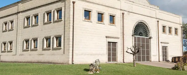 beste weingüter aus apulien tenuta viglione